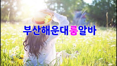 부산밤알바 부산해운대룸알바 예쁜 말로 옮겨 적으면