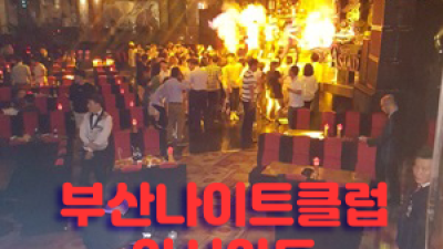 해운대나이트 부산나이트아시아드 건물 사이에 피어난 장미