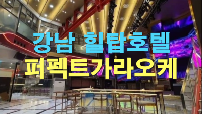 퍼펙트가라오케2차 홍대가라오케 올림픽대로 뚝섬 유원지
