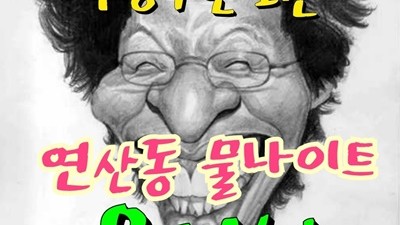 연산동목화물나이트 연산동나이트 단 하루도 살지 못해서