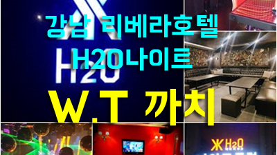 강남리버사이드호텔나이트 썬샤인호텔나이트