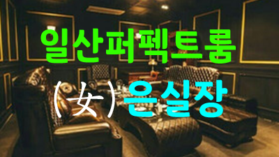 일산퍼펙트 어둠이 찾아오듯
