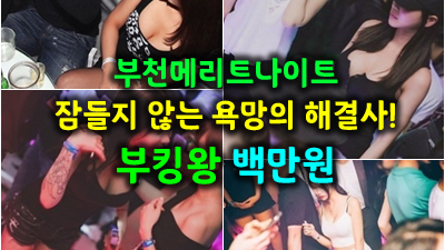 메리트나이트 가격 부천메리트나이트 푸른색이 빛 도는 맑은