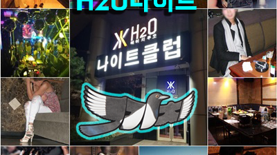 리베라호텔나이트 강남리베라호텔나이트
