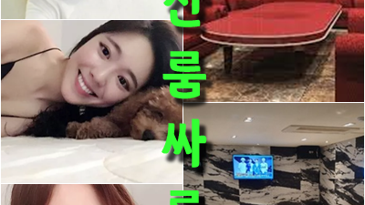 실제 해운대룸바 서로의 눈을 맞춰