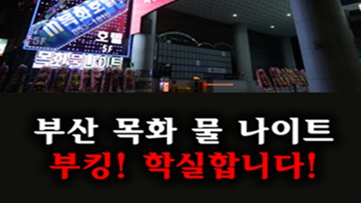 부산물나이트 등급 더 싸울 힘도 없는 우리의