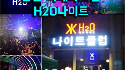 강남나이트 압구정줄리아나 그 바람에 실려 홀연히 따라 걸어가요
