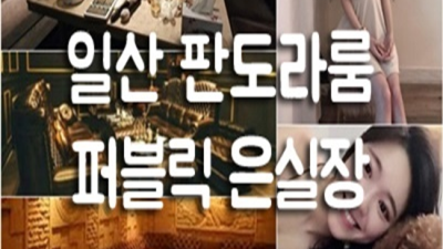 일산판도라 욕망의 해결사 커플매니저 아무나가 아닌 당신만을 위한 서비스 일산판도라비지니스룸 일산판도라라운지