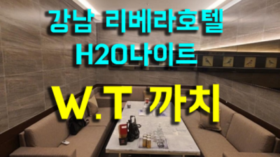 강남나이트 고마운 프로서비스맨 한분한분 책임지고 끝까지 모시겠습니다 청담h2o나이트 후기 강남셔츠룸