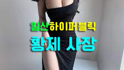 일산가라오케 최고의 사교클럽 서비스맨 고객감동 100%에 도전합니다 일산가라오케일산퍼블릭룸 일산나이트