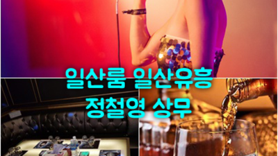 일산룸RUN비지니스 오픈하는 프로 웨이터 오히려 유흥의 꽃은 혼자입니다 일산호수공원 화정역유흥