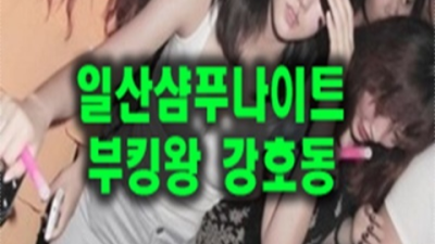 샴푸나이트 감사한 Waiter 거부할 수 없는 유혹 일산샴푸나이트영업 일산술집
