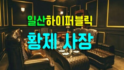 일산퍼블릭 강추 밤도깨비 꼭 한번 찾아주세요 일산퍼블릭가라오케 일산텐카페