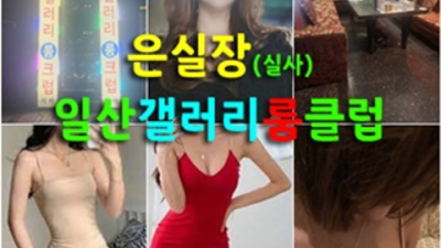 일산갤러리룸 차별화된 서비스 1등웨이터 꼭 한번 찾아주세요 일산갤러리룸사롱 일산방석집
