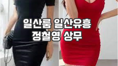 일산룸 진실성 있는 맨투더맨 감동을 선사하겠습니다 일산킨텍스 화정역라운지