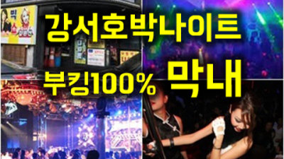 강서호박나이트 프로모션 프로서비스맨 자신있게 모실께요.확실하게 케어 해드립니다 강서호박나이트 가격 화곡동라운지