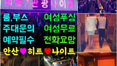히트나이트 특별함을 주는 Waiter 가족처럼 생각하겠습니다 중앙동히트나이트 안산레깅스