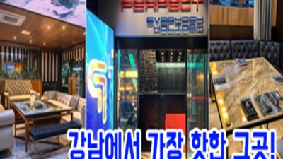 강남퍼펙트하이퍼블릭 강추 밤대통령 꼭찾으세요 힐탑호텔퍼펙트 논현동필리핀노래방