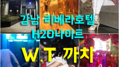 강남h2o 눈높이 맞춤 서비스 제공합니다 웨이터 후회없을겁니다 리버사이드호텔나이트 강남쩜오