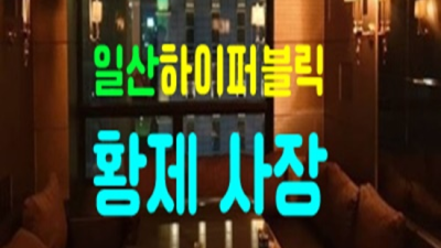 일산퍼블릭 강력추천 밤도깨비 눈높이 맞춤 서비스 제공합니다 일산가라오케 일산정통비지니스룸