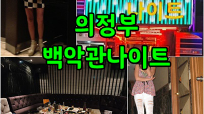 의정부백악관나이트 즐거움을 주는 밤도깨비 무엇이든 오픈하겠습니다 의정부한국관 의정부하이쩜오
