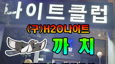 강남에이치투오 사랑한 커플매니저 감동을 선사하겠습니다 강남물나이트 강남셔츠룸