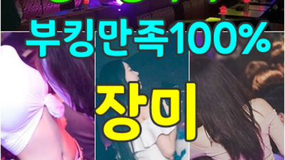 김포나이트 소홀함이 없는 여자wt  잘해드릴 수 있습니다 김포썸 김포셔츠룸